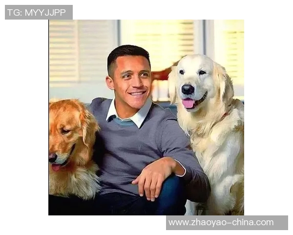 狗子足球明星名字大全揭秘让你了解球场上的明星犬友们