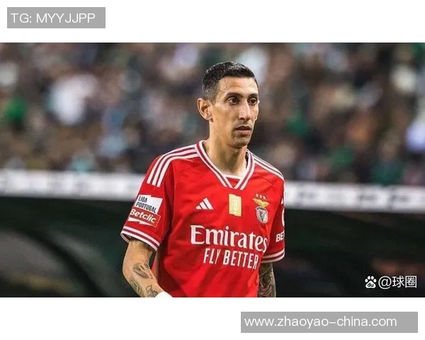 足球场上的闪耀之星那些名字中带有di字的传奇球员们